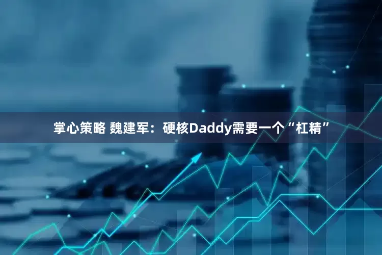 掌心策略 魏建军：硬核Daddy需要一个“杠精”