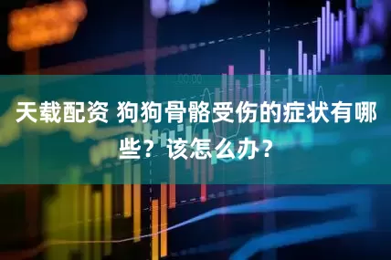 天载配资 狗狗骨骼受伤的症状有哪些？该怎么办？